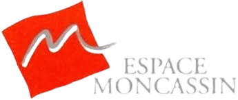 Moncassin